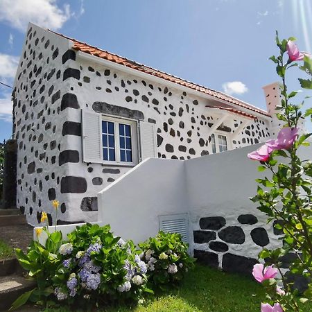 Vivenda Flores - Casa Hortensia Lomba  Экстерьер фото